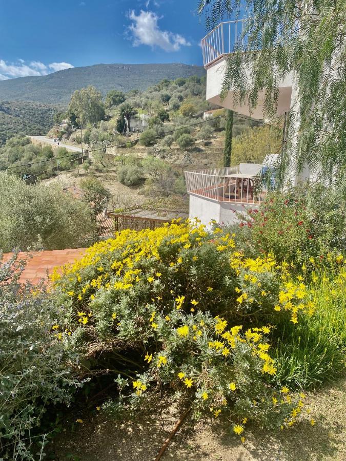 Ses Terrasses Daire Cadaqués Dış mekan fotoğraf