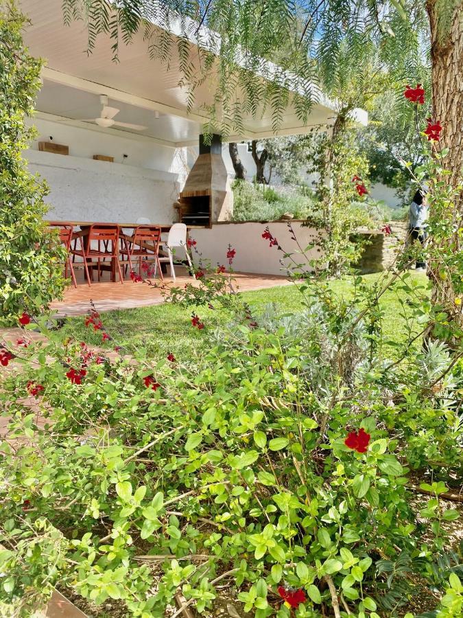Ses Terrasses Daire Cadaqués Dış mekan fotoğraf