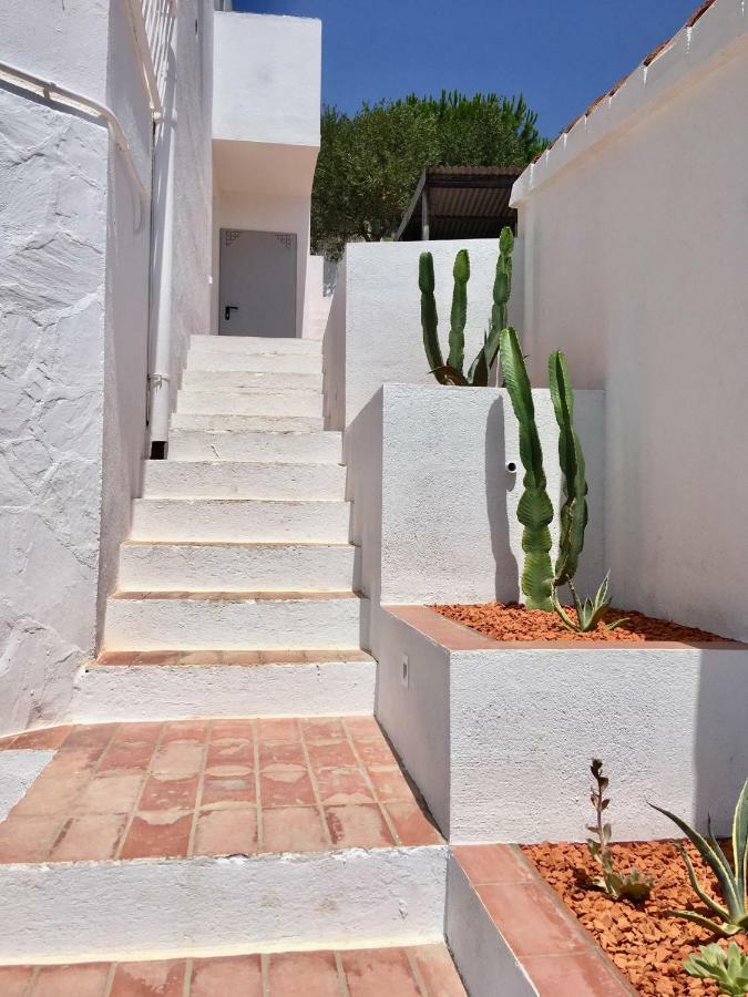 Ses Terrasses Daire Cadaqués Dış mekan fotoğraf